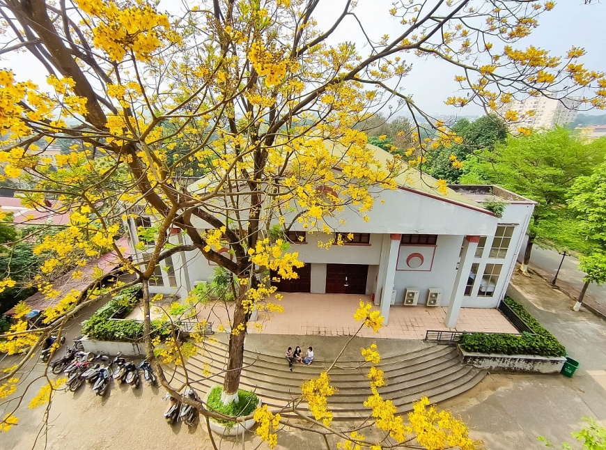 Trường Đại học Lâm nghiệp thông báo tuyển sinh đại học hệ chính quy năm 2021-2022