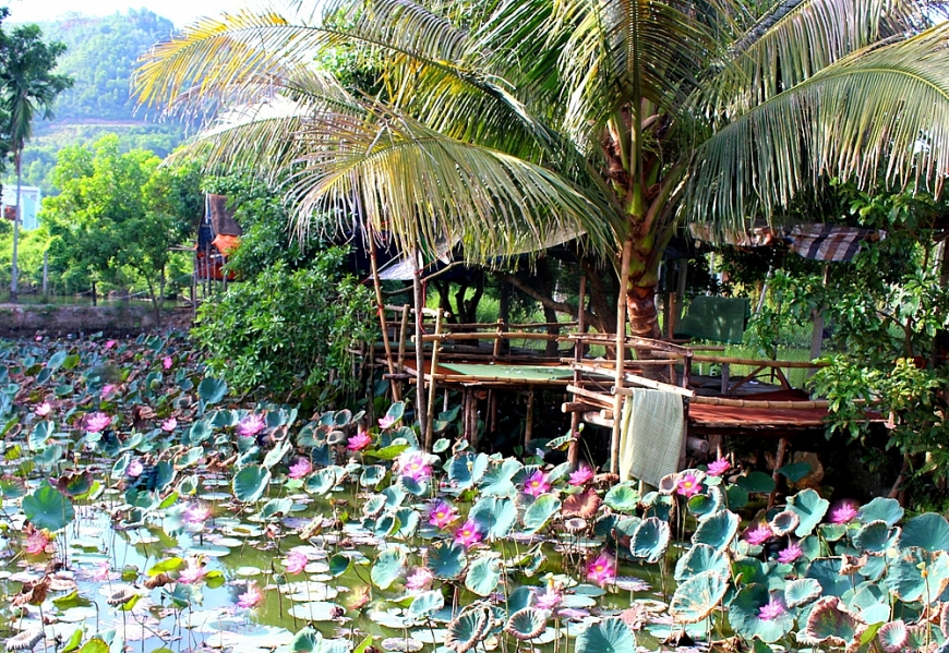 “Homestay ông Sách”