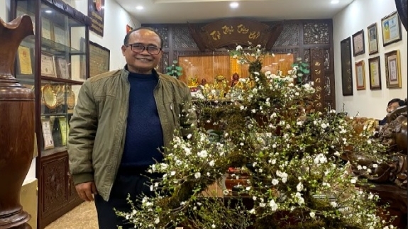 Thuốc nam kết hợp điều trị không dùng thuốc chữa xơ cứng bì hiệu quả