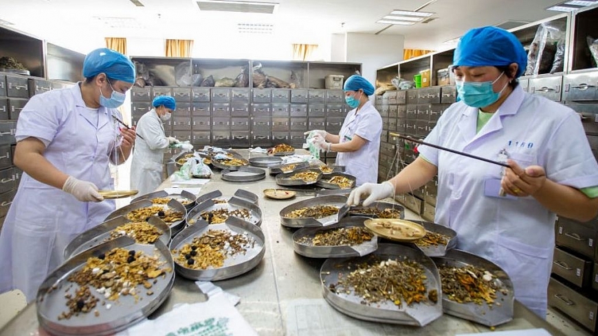 2. Các loại thuốc y học cổ truyền được Trung Quốc sử dụng kết hợp từ rất sớm trong thời kỳ đầu dịch COVID-19 ở Vũ Hán. Ảnh IT 2. Các loại thuốc y học cổ truyền được Trung Quốc sử dụng kết hợp từ rất sớm trong thời kỳ đầu dịch COVID-19 ở Vũ Hán. Ảnh IT