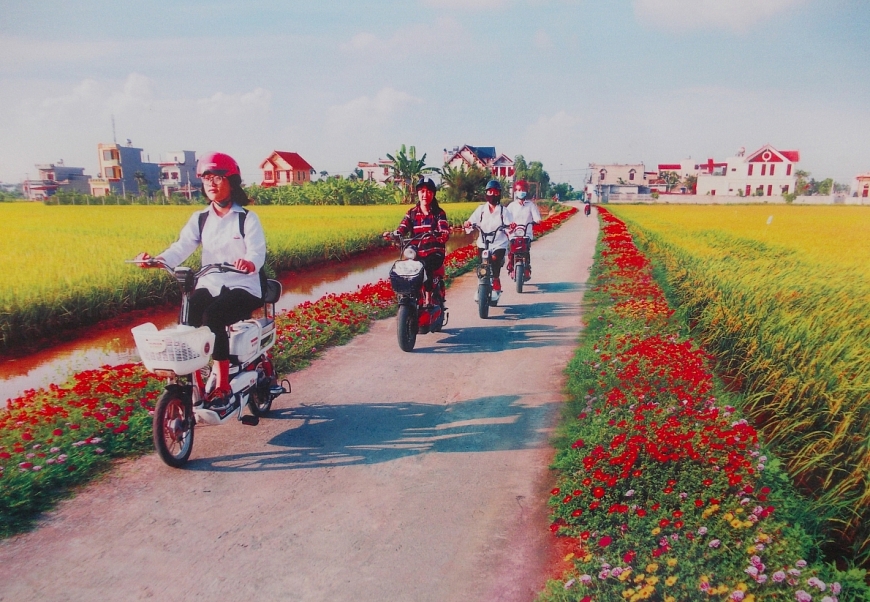 Đường hoa NTM nâng cao của huyện Hải Hậu.