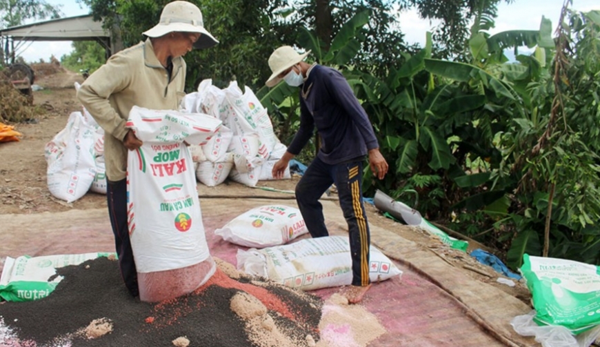 Phân bón tăng giá làm nông dân lo lắng. Ảnh Trọng Triết (2)