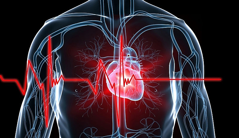 Vấn đề  của hệ tim mạch