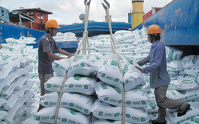 Ngân hàng mạnh tay cho vay mua lúa và xuất khẩu gạo