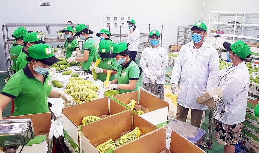 Ưu tiên hỗ trợ cho doanh nghiệp trong lĩnh vực nông nghiệp