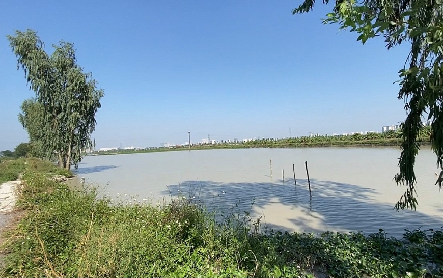 Khu đất Chéo Áo xã Bích Hòa.