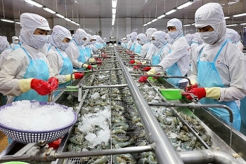 Việt Nam nằm trong 7 nước xuất khẩu tôm lớn nhất thế giới