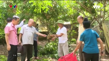Vui, khoẻ cùng người cao tuổi