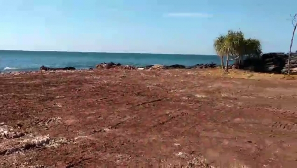 Bà huyền cho người lấp biển