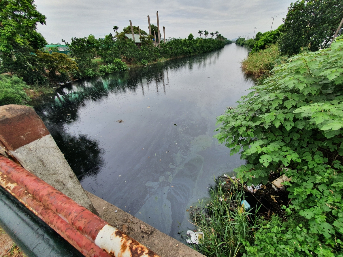 Đại thủy nông Bắc Hưng Hải kêu cứu: 'Oằn mình' sống chung với bệnh tật (Bài 2)